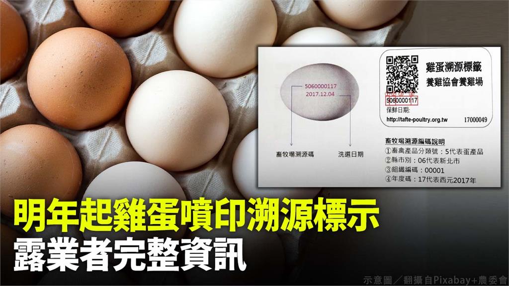 明年起實施雞蛋噴印溯源標示。圖／翻攝自Pixabay、農委會