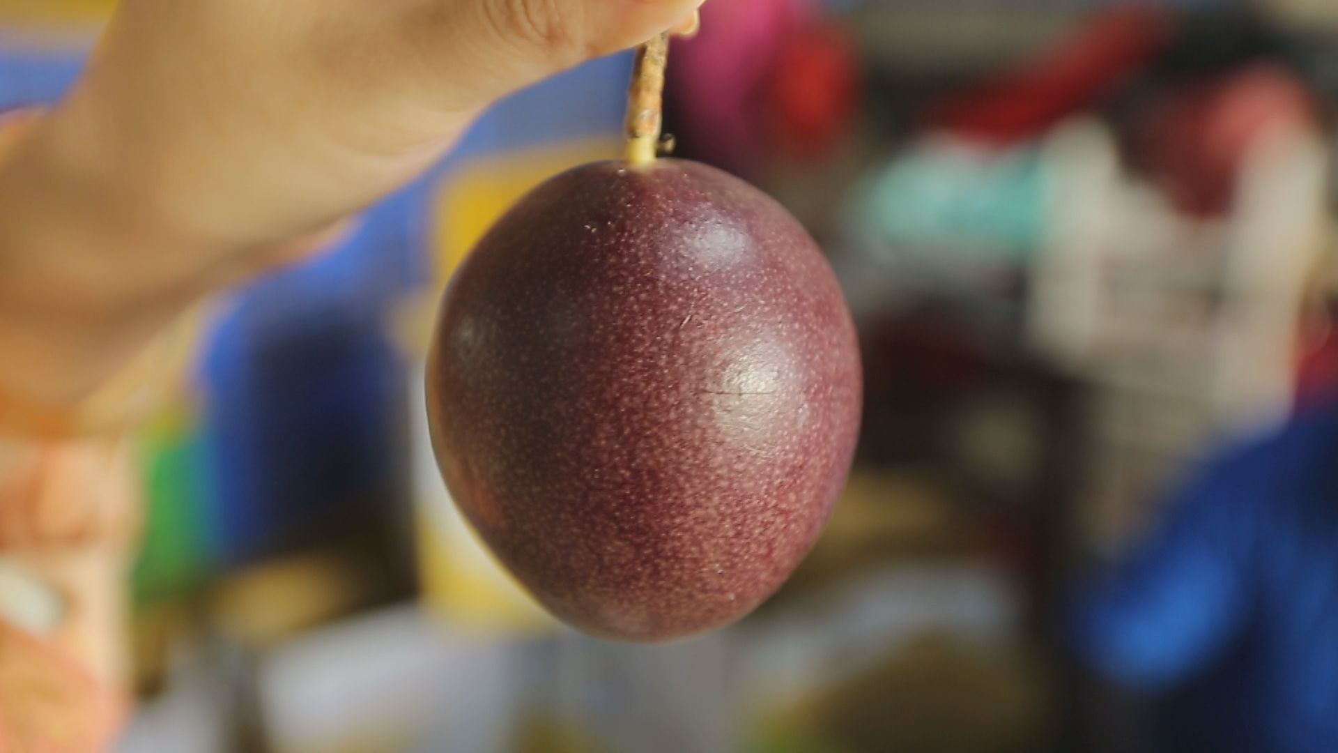 林文足種植的這款百香果，因為外觀完美無缺，內餡飽滿香甜，堪稱是「百香果界的LV」。（記者余建宏／攝影）