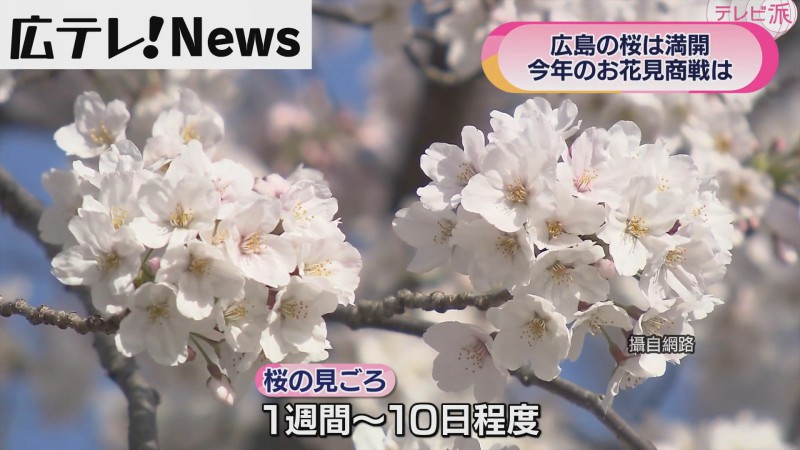  日本擬3/15前全面解禁 。圖／翻攝自網路。