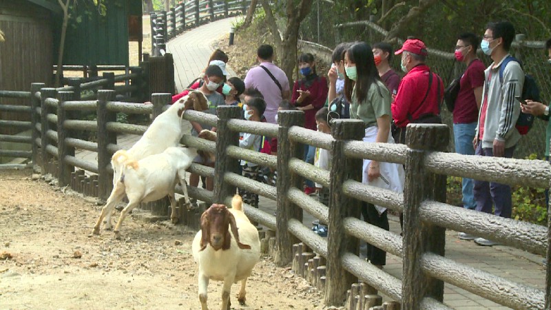 壽山動物園暑假期間全國12歲以下免費入園。非凡新聞資料畫面。