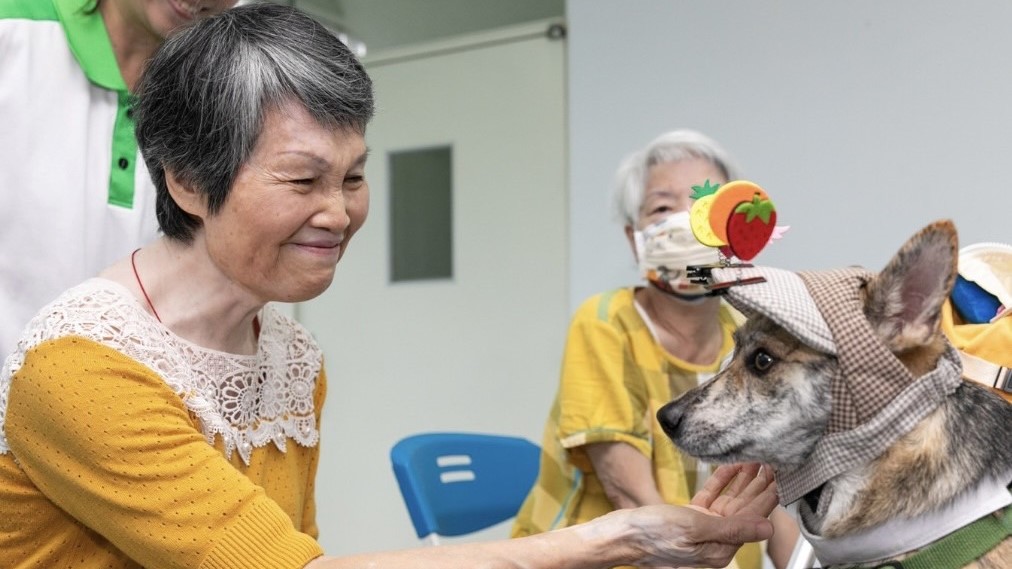 永信社會福利基金會自8月起分別在傑瑞老人養護中心、松柏園老人養護中心及高雄仁愛之家，邀約狗醫師至機構陪伴長者運動暖身。（圖源／永信社會福利基金會提供）