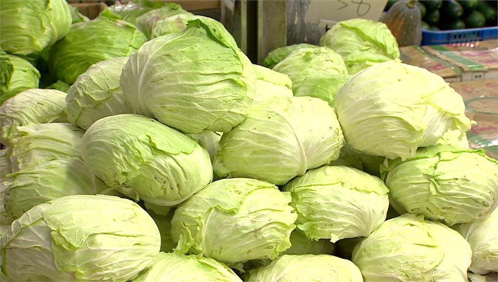 「小犬」颱風 菜價漲幅最高57%。圖／台視新聞 (資料畫面)