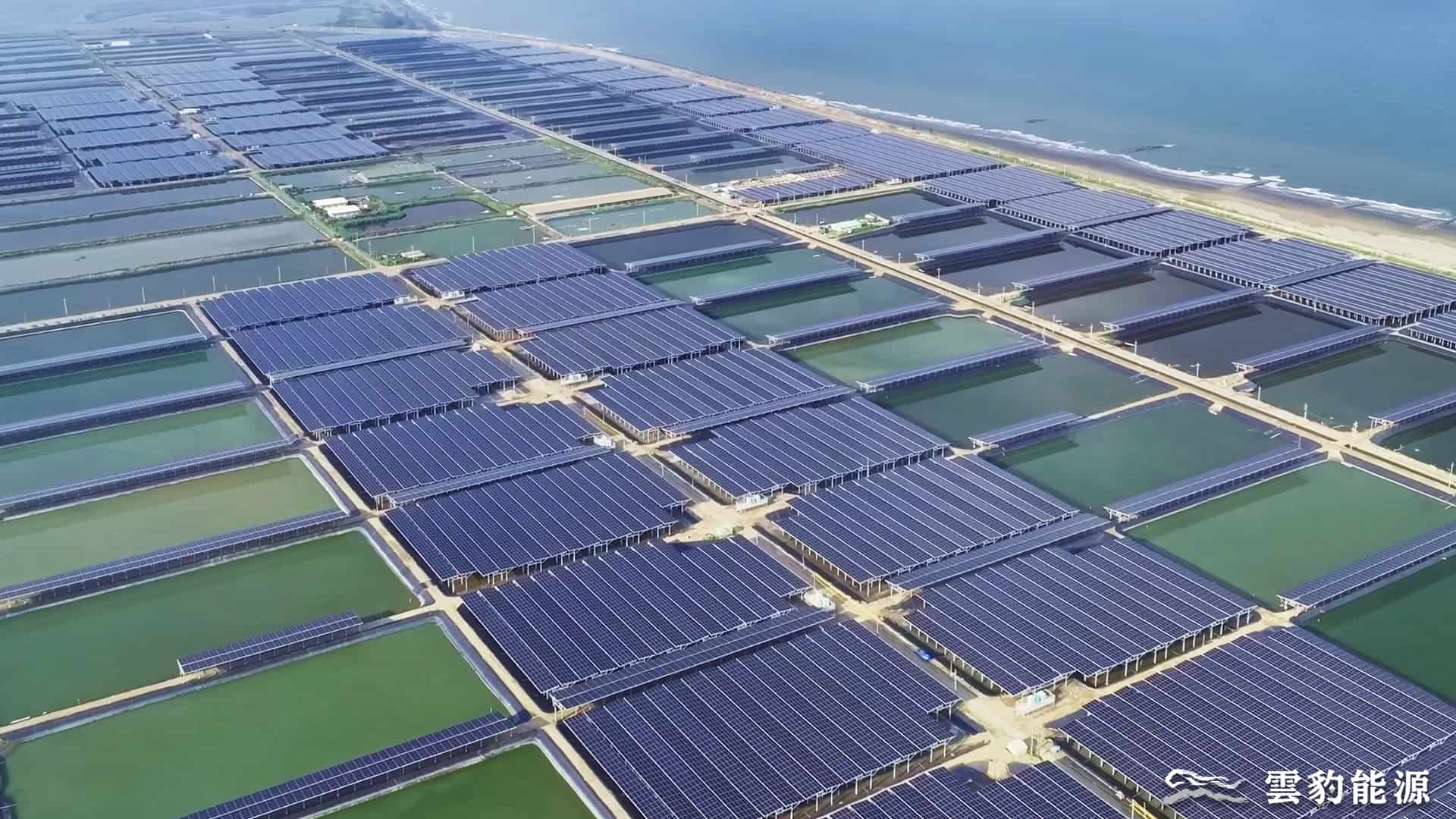 雲豹能源提供再生能源6大業務，目標是成為「能源界的波克夏」。（圖／雲豹能源提供）