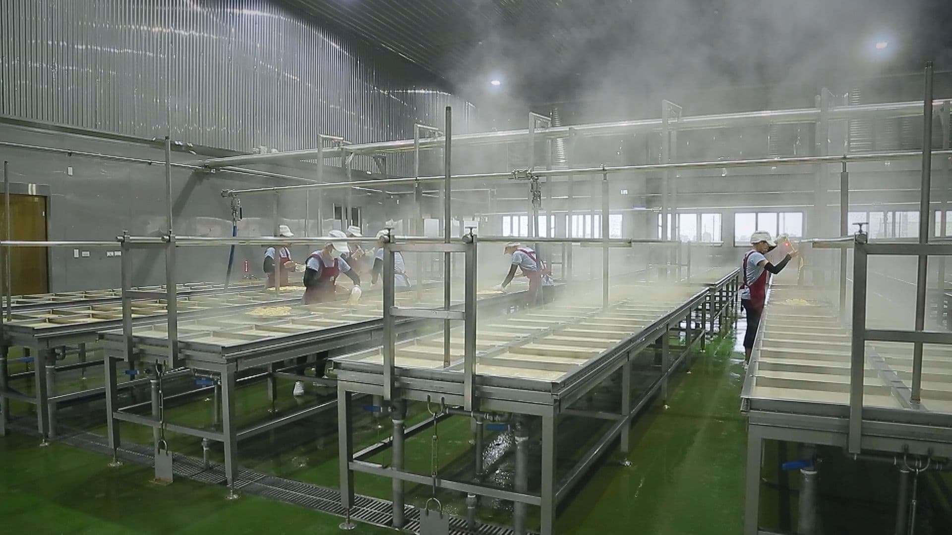 全台最大的豆包工廠位在雲林，一天生產六百公斤的豆包，一年創造千萬元營收，而老闆沈泓志，選擇使用國產黃豆打造「豆包王國」。 （記者劉鑫昌／攝影）