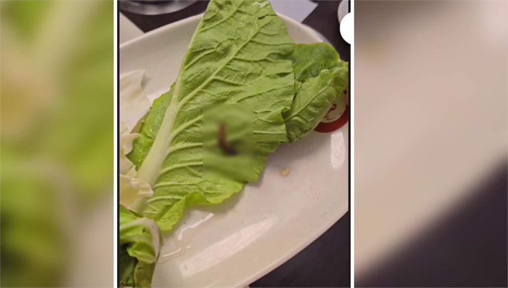 不小心吃下肚會導致所謂的「嗜伊紅性腦膜炎」，或是腦膜腦炎出現。圖／台視新聞