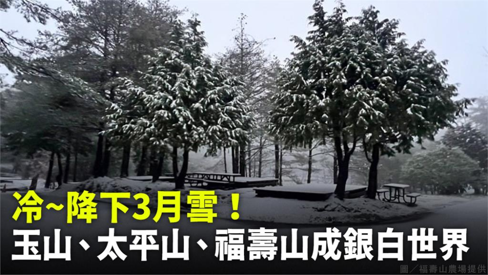 玉山雪花紛飛宛如仙境　太平山降下冰霰。圖／台視新聞