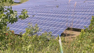 面對AI這隻吃電怪獸，特斯拉執行長馬斯克也大力押寶太陽能，甚至點名，太陽能將是支撐「太空資料中心」。記者姚尹哲／攝影。