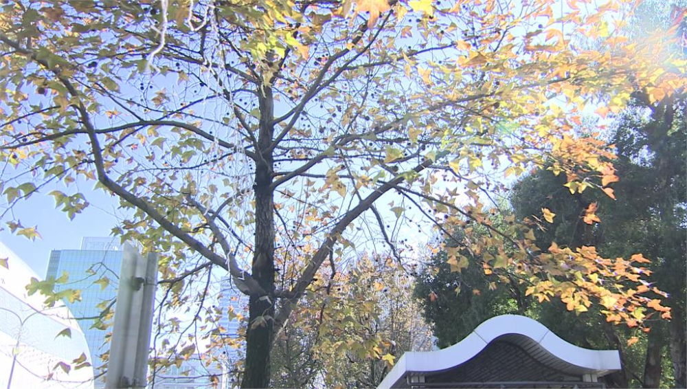 北台灣氣溫回升。圖／台視新聞（資料畫面）