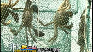 慶東大閘蟹生態農場