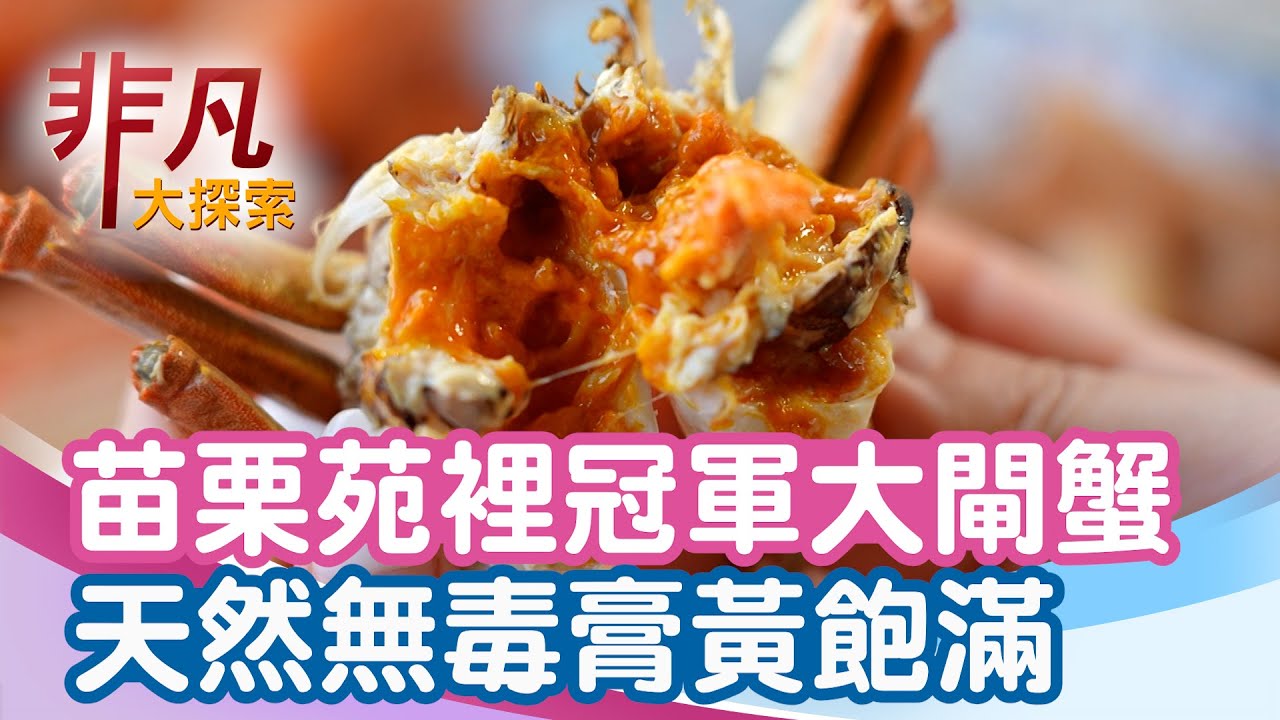 紅心大閘蟹泰國蝦