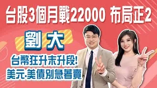 台幣狂升末升段！美元、美債別急著賣 小心賣在阿呆谷！台股3個月戰22000 布局正2Stay Rich俞璘 ft. 劉大(劉宇玹)20250508