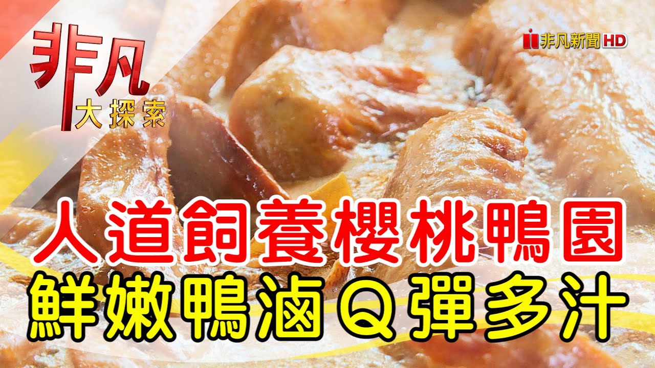 甲鳥園(複合式養鴨農場)