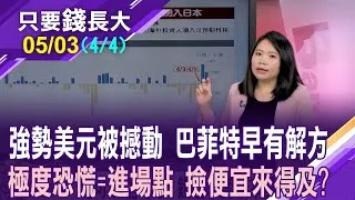 川普擁抱弱勢美元 跟巴神買短期國庫券?黃金.日圓.歐元分散風險?當VIX極度恐慌,是最佳進場點 撿便宜還來得及?