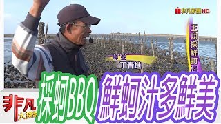 芳苑潮間帶旅遊丁春進採蚵