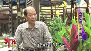 飛天甕缸雞
