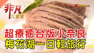 鵝肉宗